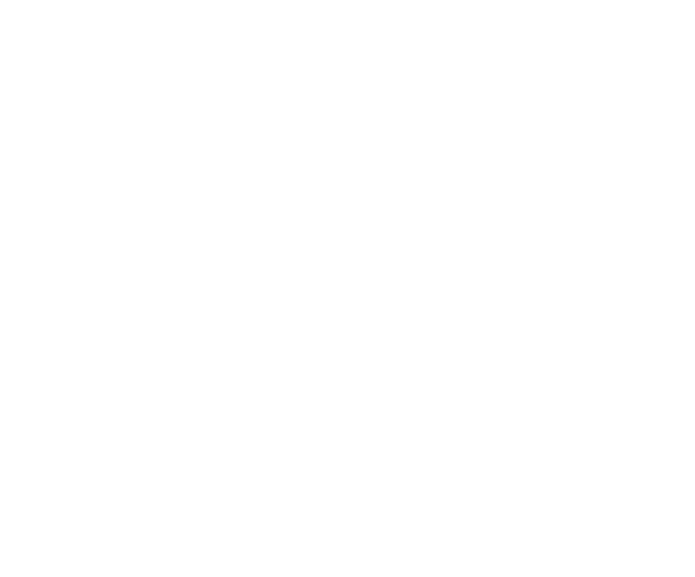 Giro Logo